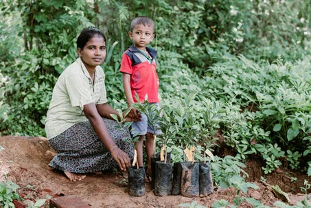 A mother and child beside young citrus plants