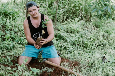 A volunteer holding a young plant